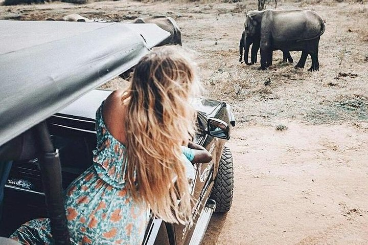 Elephants at Udawalawe Safari,Srilanka